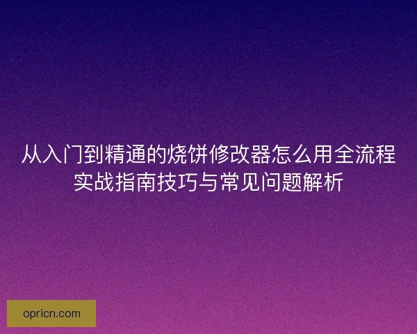 从入门到精通的烧饼修改器怎么用全流程实战指南技巧与常见问题解析