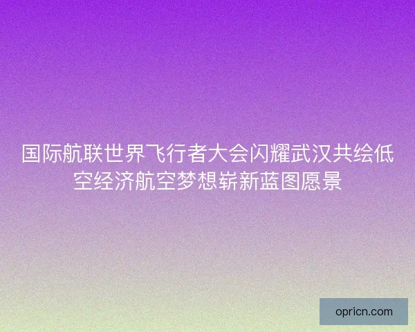 国际航联世界飞行者大会闪耀武汉共绘低空经济航空梦想崭新蓝图愿景