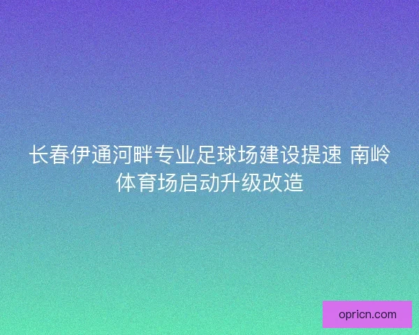 长春伊通河畔专业足球场建设提速 南岭体育场启动升级改造