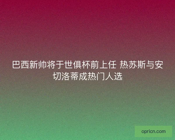 巴西新帅将于世俱杯前上任 热苏斯与安切洛蒂成热门人选