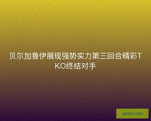 贝尔加鲁伊展现强势实力第三回合精彩TKO终结对手
