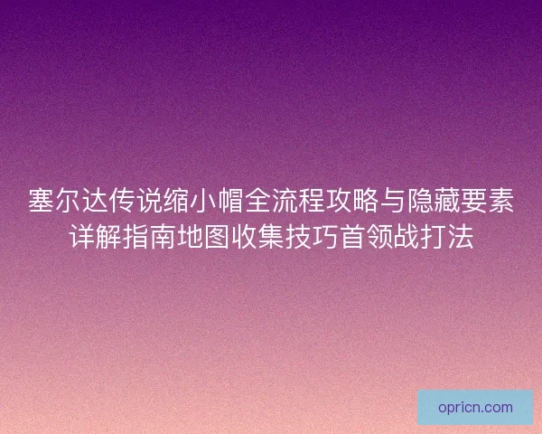 塞尔达传说缩小帽全流程攻略与隐藏要素详解指南地图收集技巧首领战打法